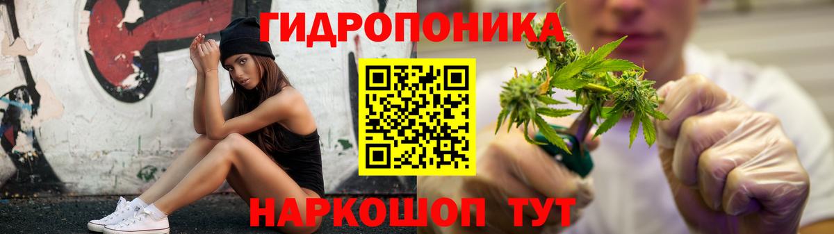 МАРИХУАНА план Кириши
